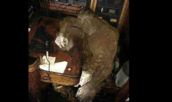 mummfied-captain-477840